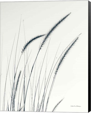 Framed Field Grasses III Crop Print