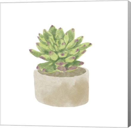 Framed Simple Succulent III Print