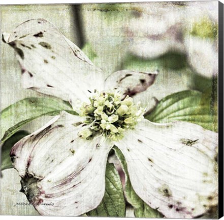 Framed Dogwood Floral Print