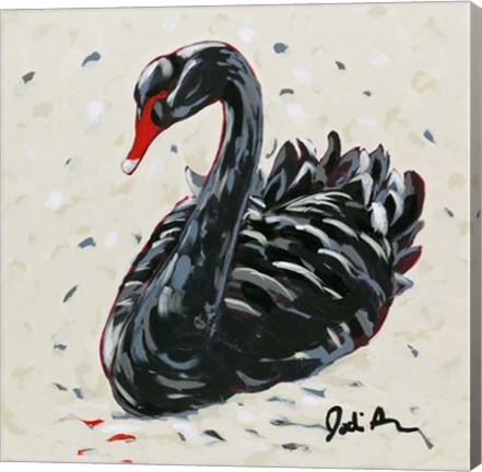 Framed Black Swan Print