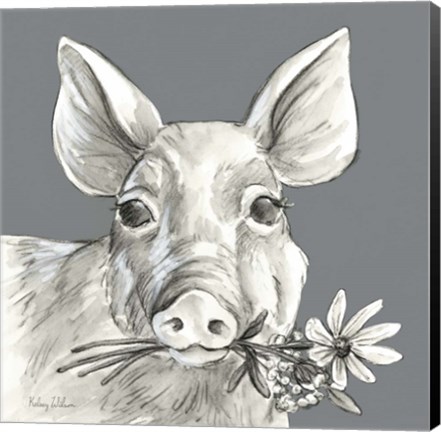 Framed Pig Print