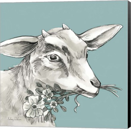 Framed Goat Print