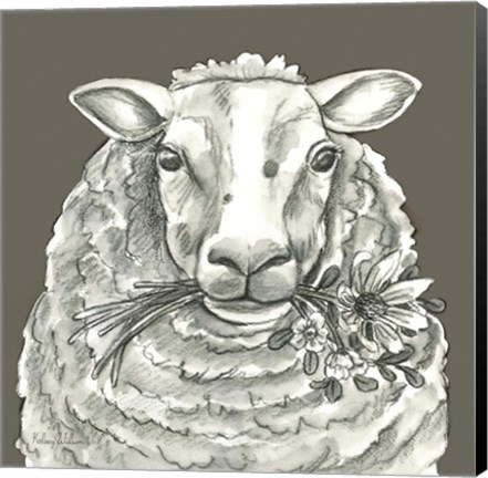 Framed Sheep Print