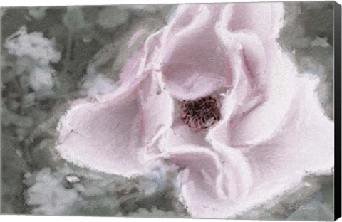 Framed Garden Dream V Print