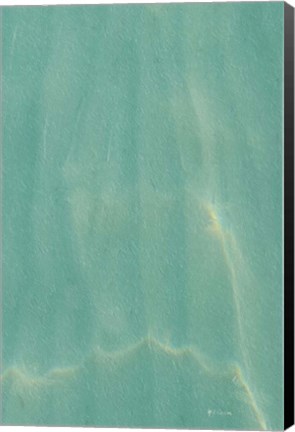 Framed Beach Shore VIII Print