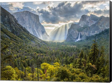 Framed Tunnel View Sun Rays Print