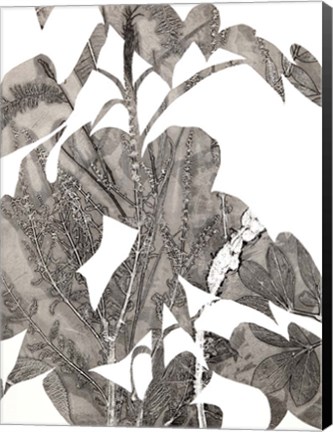 Framed Losarim Print