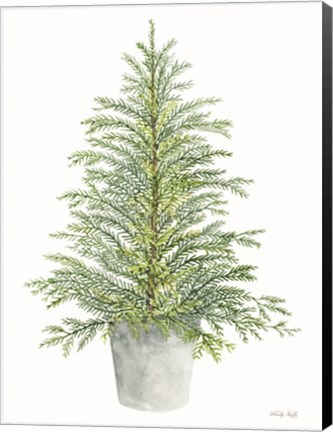 Framed Spruce Tree in Pot Print