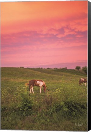 Framed Horse at Sunset Print