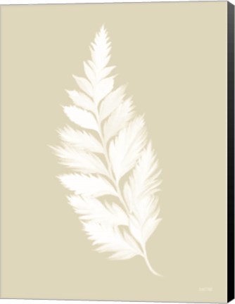 Framed Botanical White Fern Print