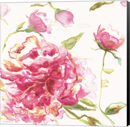 Framed English Rose Print