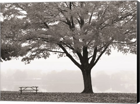 Framed Empty Table Print