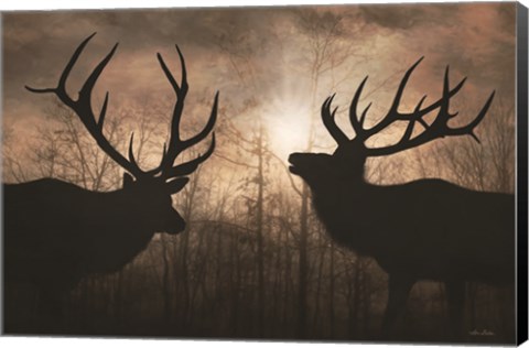 Framed Elk Sunrise III Print