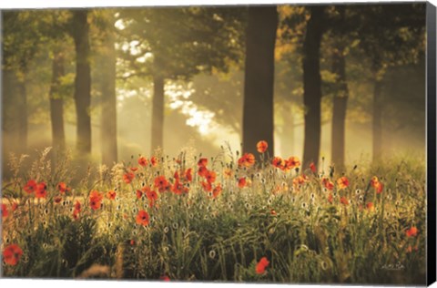 Framed Poppy Forest Print