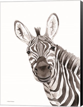 Framed Safari Zebra Peek-a-boo Print