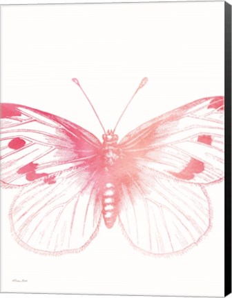 Framed Pink Butterfly III Print