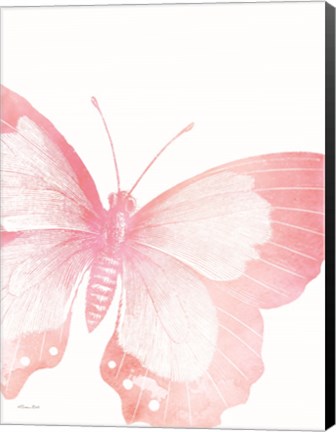 Framed Pink Butterfly V Print