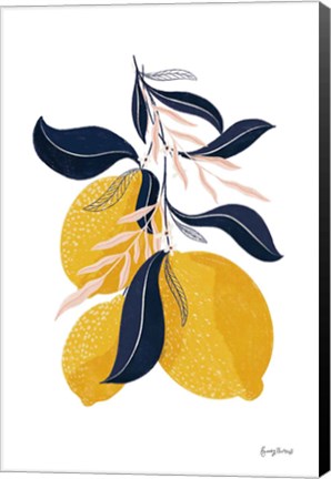 Framed Lemons I No Words Print