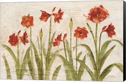 Framed Row of Red Amaryllis Light Print