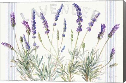 Framed Floursack Lavender V Print