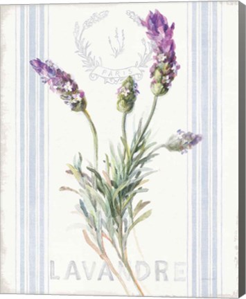 Framed Floursack Lavender II Print