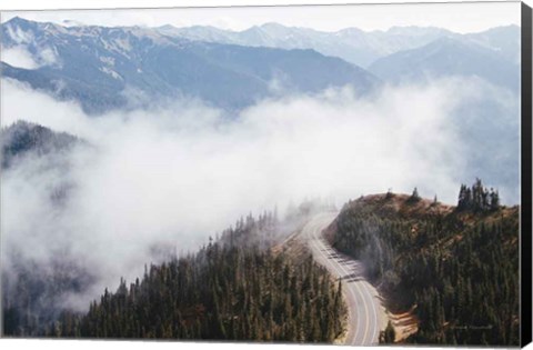 Framed Hurricane Ridge III Print