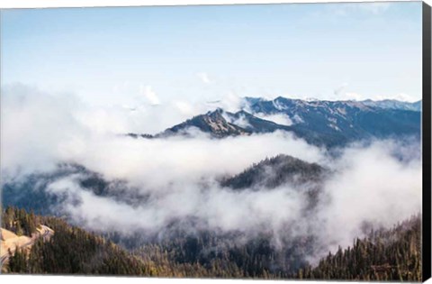 Framed Hurricane Ridge II Print