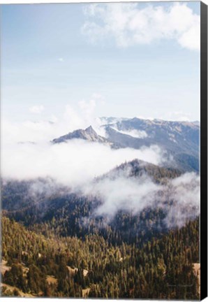 Framed Hurricane Ridge I Print