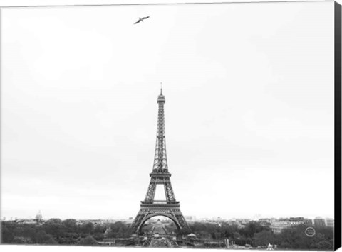 Framed Birds View of Paris Print