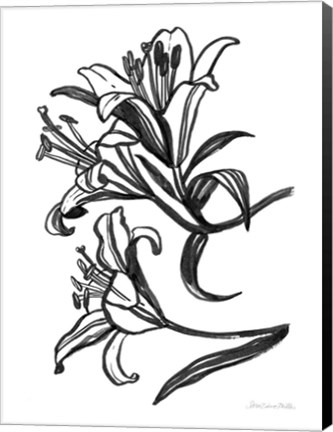 Framed Ink Lilies II Print