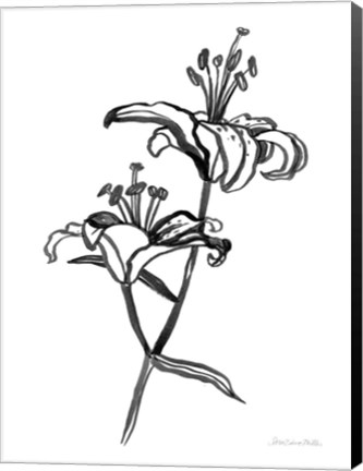 Framed Ink Lilies I Print