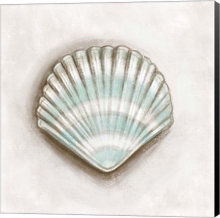 Framed Shell III Print