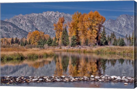 Framed Teton Autumn Print