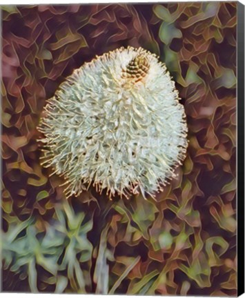 Framed Gemstone Bear Grass Print