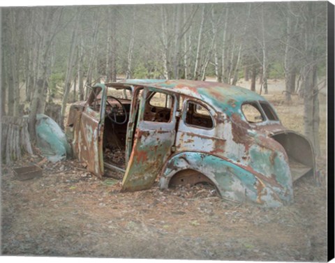 Framed Abandoned Print