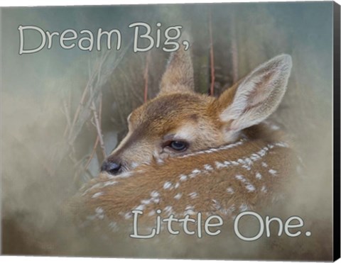 Framed Dream Big Dear Print