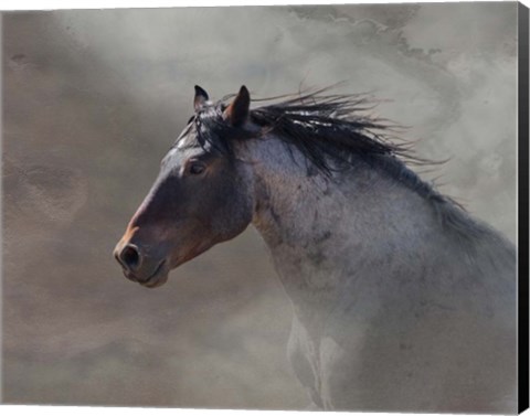 Framed Back Country Roan Print
