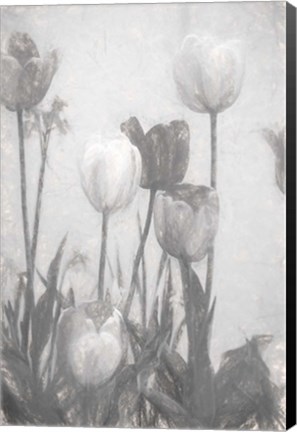 Framed Tulips III Print