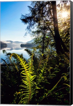 Framed Lake Side View Print