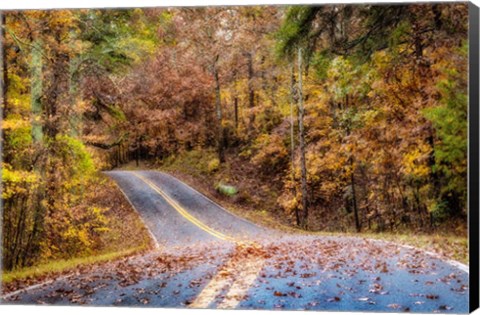 Framed Woodland Road II Print