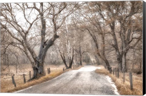 Framed Late Afternoon Walk Print