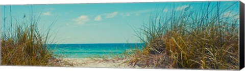 Framed Perfect Day I Print