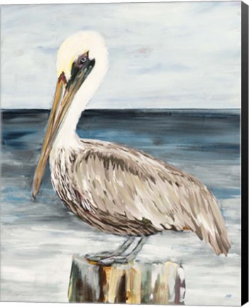 Framed Muted Perched Pelican Print