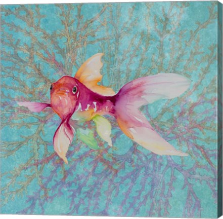 Framed Fish On Coral II Print