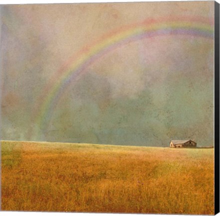 Framed After The Rain Rainbow Print