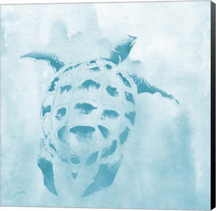 Framed Washed Teal Aquatic Turtle Print
