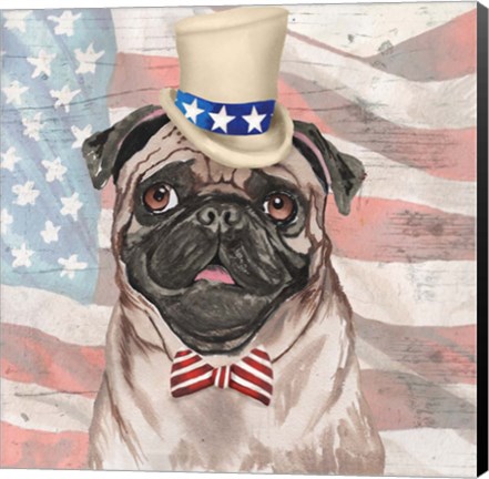 Framed Patriotic Pug Print