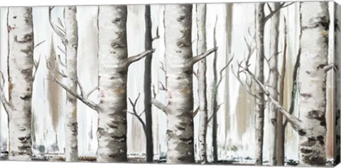 Framed White Birch Forest Print