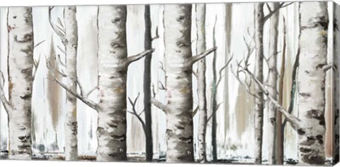 Framed White Birch Forest Print