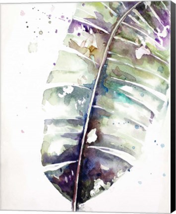 Framed Watercolor Plantain Leaves with Purple II Print